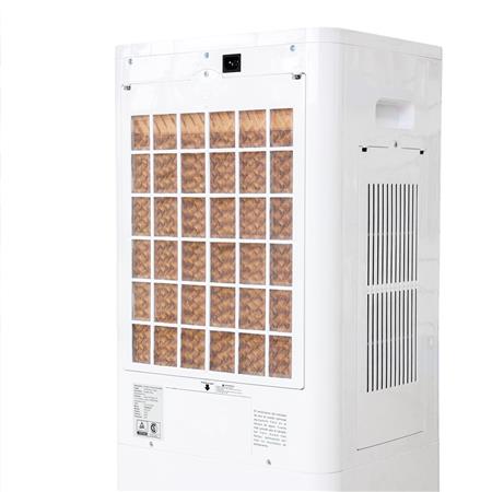 Enfriador De Aire 30lt Airc03 Tagwood