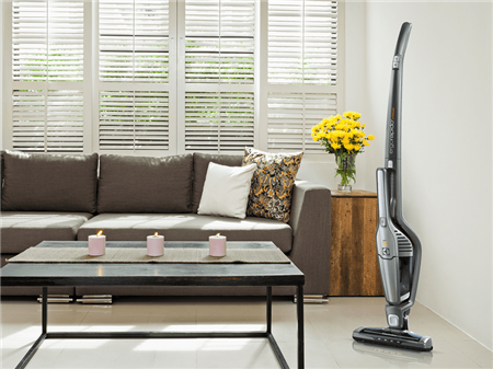 Aspiradora Ergorapido  ERG25  Electrolux