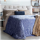 Frazada 2 1/2pl 230x240 Portonovo Cp2080-1/3-1 Azul Palette
